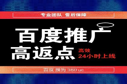 SEM推广实战：成功案例解读与策略调整